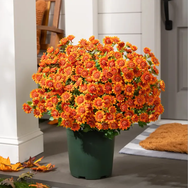💥Last Day Each- Real-Look Sunset Mums-Waterproof & Windproof