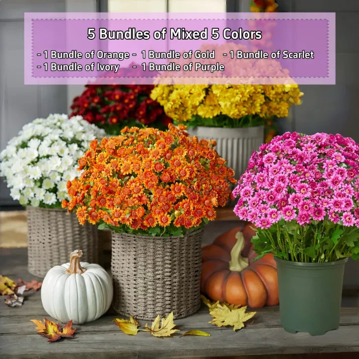 💥Last Day Each- Real-Look Sunset Mums-Waterproof & Windproof