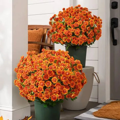 💥Last Day Each- Real-Look Sunset Mums-Waterproof & Windproof